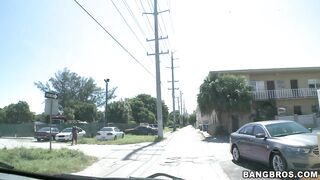 Come tour Miami on the Bangbus - B@ngBus