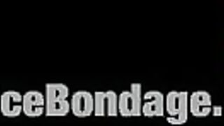 Andy San Dimas Perdition