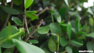 Prin cess Emi ly  - In 4K
