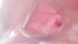 Zorrita caliente hermosas piernas rico culo